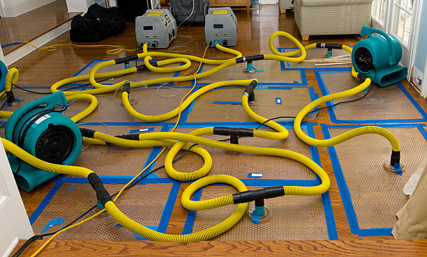Professional Burst Pipe Water Damage technician working in Delaware City, DE
